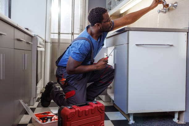 Best Plumbing Inspection Services  in Pelican Rapids, MN